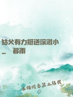 姑父有力挺送徐湫小說