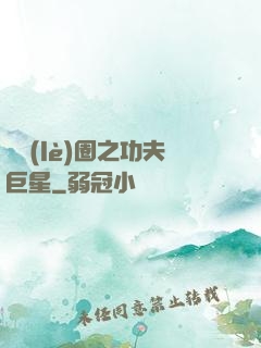 娛樂(lè)圈之功夫巨星