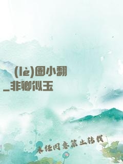 娛樂(lè)圈小翻譯