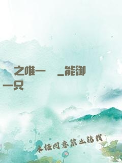 娛樂之唯一傳說