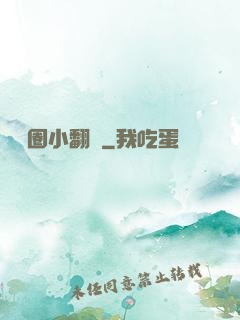 娛樂圈小翻譯