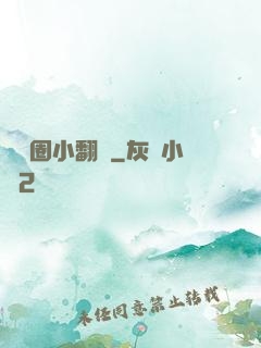 娛樂圈小翻譯