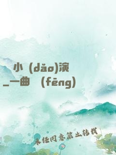 娛樂小導(dǎo)演