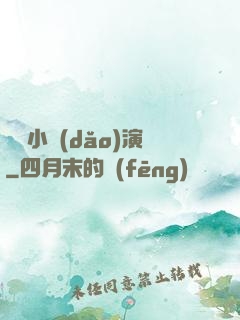 娛樂小導(dǎo)演