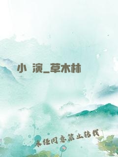 娛樂小導演