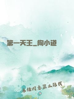 娛樂第一天王