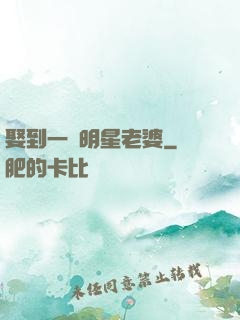 娶到一個明星老婆