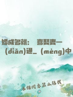 婚成名就：歡喜娶妻一點(diǎn)通
