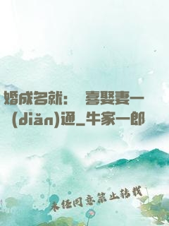 婚成名就：歡喜娶妻一點(diǎn)通