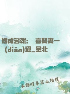 婚成名就：歡喜娶妻一點(diǎn)通