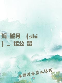 孤樓望月幾時(shí)圓