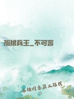 孤狼兵王