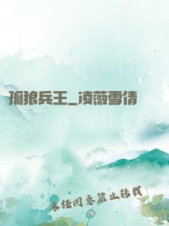 孤狼兵王