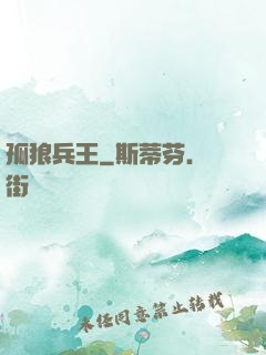 孤狼兵王