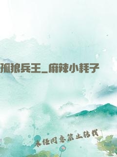 孤狼兵王
