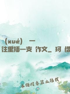 學(xué)長錯一題往里插一支筆作文