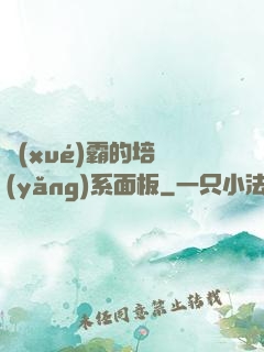 學(xué)霸的培養(yǎng)系面板