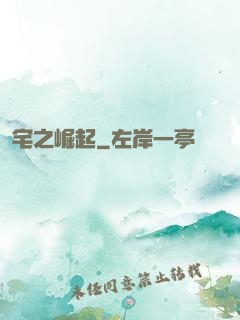 宅之崛起