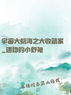 宇宙大航海之大收藏家