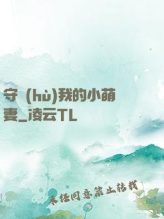 守護(hù)我的小萌妻