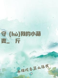 守護(hù)我的小萌妻