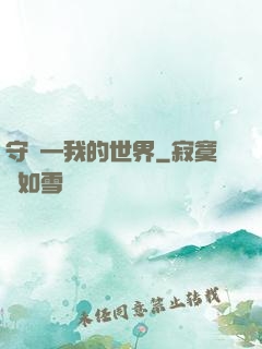 守護—我的世界