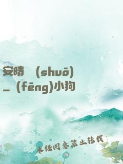 安晴傳說(shuō)