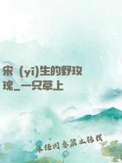 宋醫(yī)生的野玫瑰