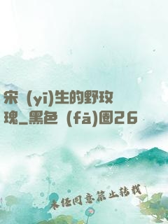 宋醫(yī)生的野玫瑰
