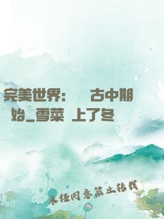 完美世界：從亂古中期開始