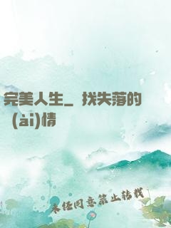 完美人生