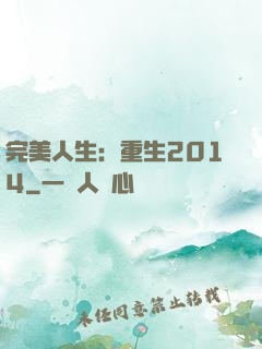 完美人生：重生2014