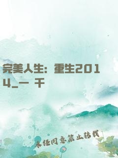 完美人生：重生2014
