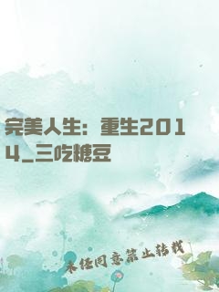 完美人生：重生2014