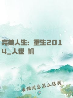 完美人生：重生2014