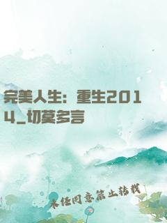 完美人生：重生2014