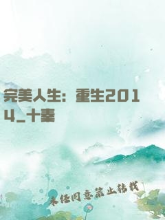完美人生：重生2014