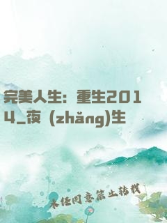 完美人生：重生2014