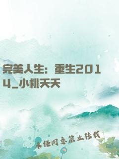 完美人生：重生2014