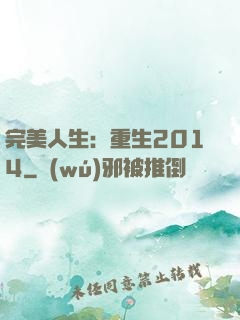 完美人生：重生2014