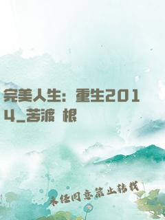 完美人生：重生2014