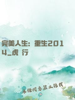 完美人生：重生2014