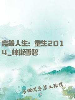 完美人生：重生2014