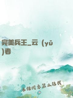 完美兵王