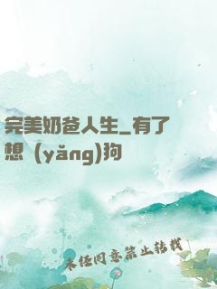 完美奶爸人生