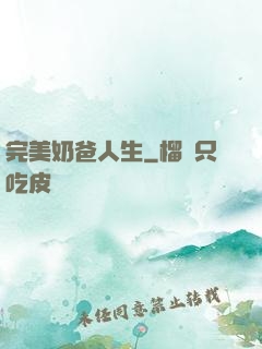 完美奶爸人生