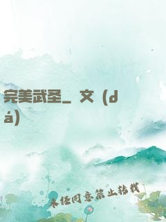 完美武圣
