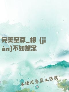 完美至尊