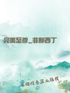 完美至尊