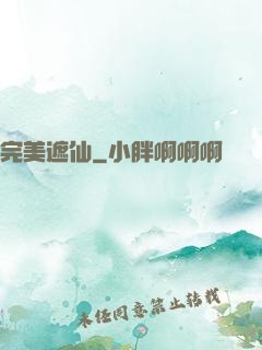 完美遮仙